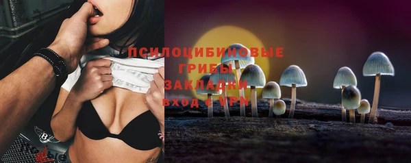 амф Абаза