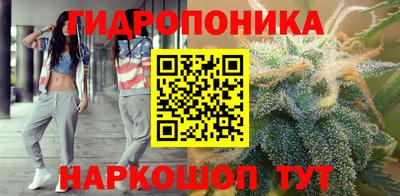 шишки Абинск