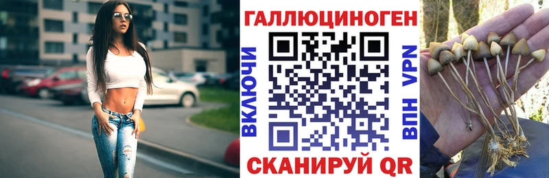 где найти наркотики  мега как зайти  Псилоцибиновые грибы Cubensis  Саратов 