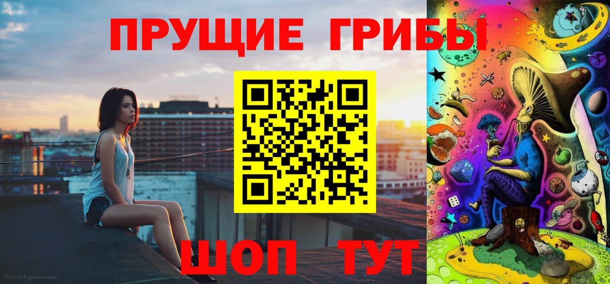 Саратов  Псилоцибиновые грибы Cubensis  Псилоцибиновые грибы Psilocybe  Вход с VPN 