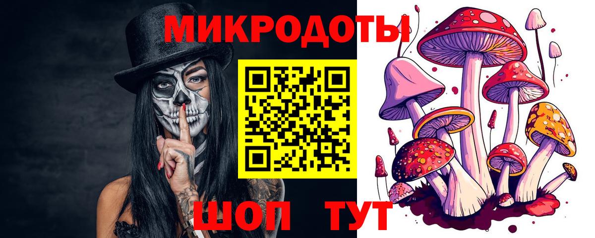 Галлюциногенные грибы Magic Shrooms  Саратов 
